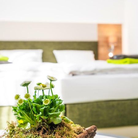 Hotel-Pension Treppengasse Nr 6 Altenburg Luaran gambar